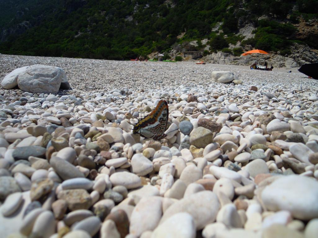 Appartamenti Da Vincenza Santa Maria Navarrese Kültér fotó