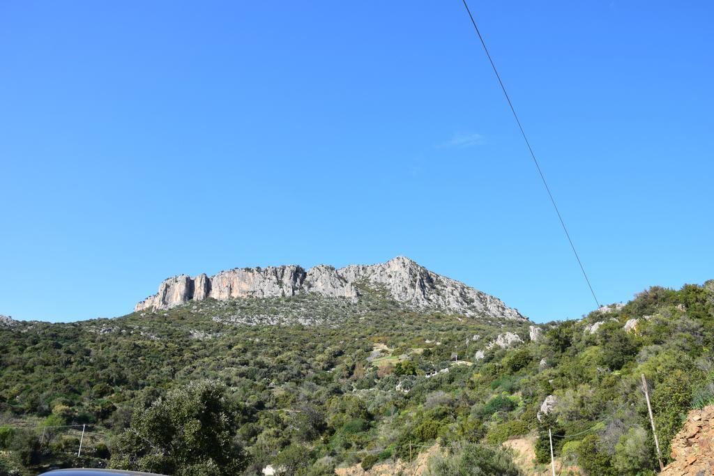 Appartamenti Da Vincenza Santa Maria Navarrese Kültér fotó